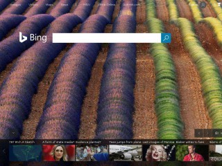 bing.com screenshot 