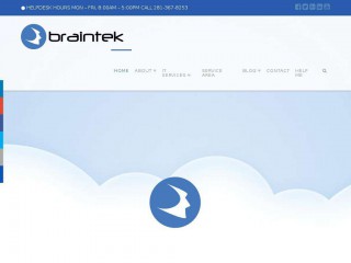braintek.com screenshot 