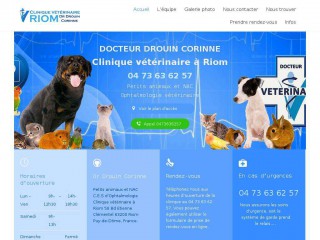 clinique-veterinaire-clementel.com screenshot 