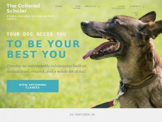 collared-scholar.com screenshot 