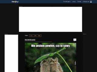 kwejk.pl screenshot 