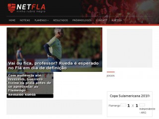 netfla.com.br screenshot 