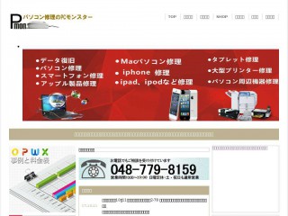 p-mon.jp screenshot 