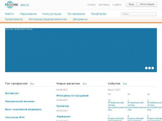 profirk.ru screenshot 