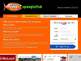 spanglefish.com screenshot 