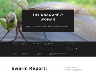 thedragonflywoman.com screenshot 
