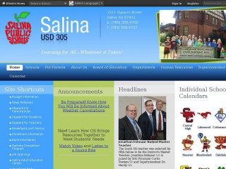 usd305.com screenshot 
