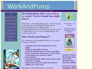 workandpump.com screenshot 